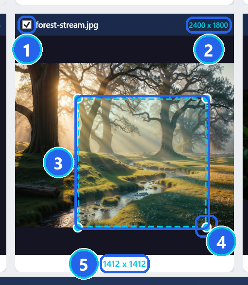 One SmartCropper card: tick box, file name, original size, dashed crop zone with corner handles, and the size of the crop